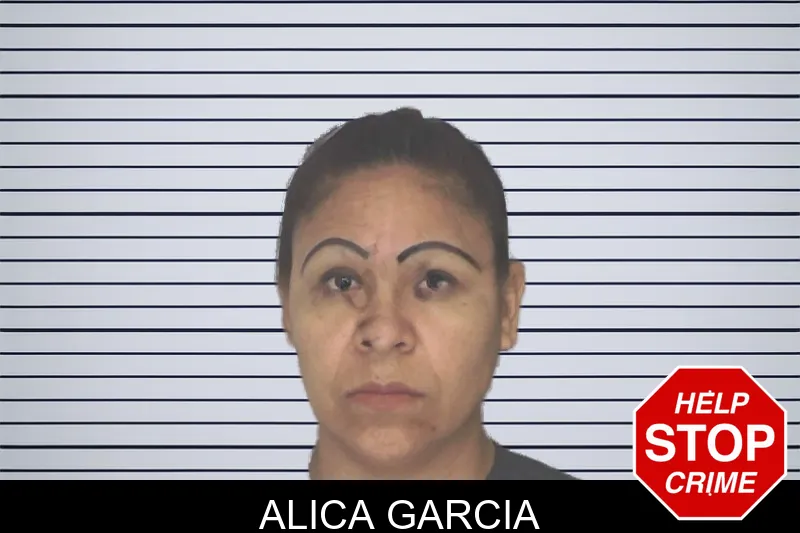 Alica Garcia mugshot – Douglas County , Georgia Alica Garcia mugshot
