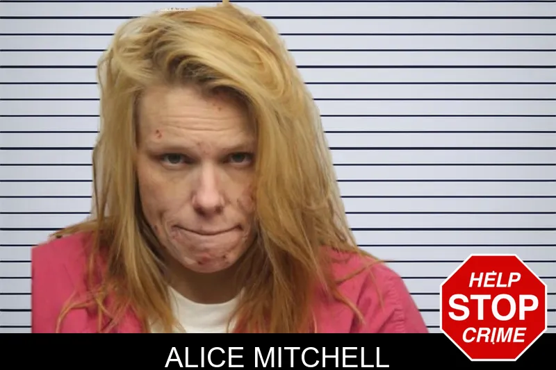 Alice Mitchell mugshot