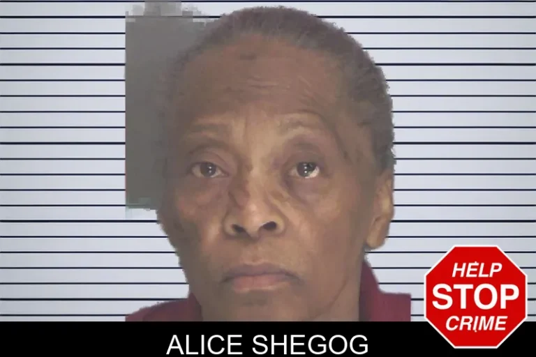 Alice Shegog