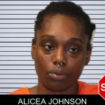 Alicea Johnson mugshot