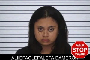 Aliiefaolefalefa Dameron mugshot