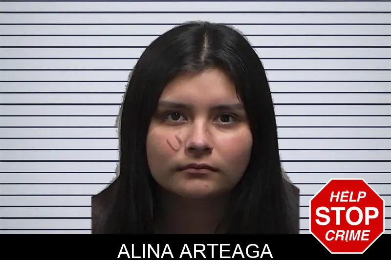 Alina Arteaga mugshot