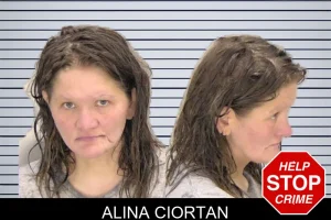 Alina Ciortan mugshot
