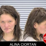 Alina Ciortan mugshot