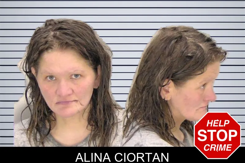 Alina Ciortan mugshot
