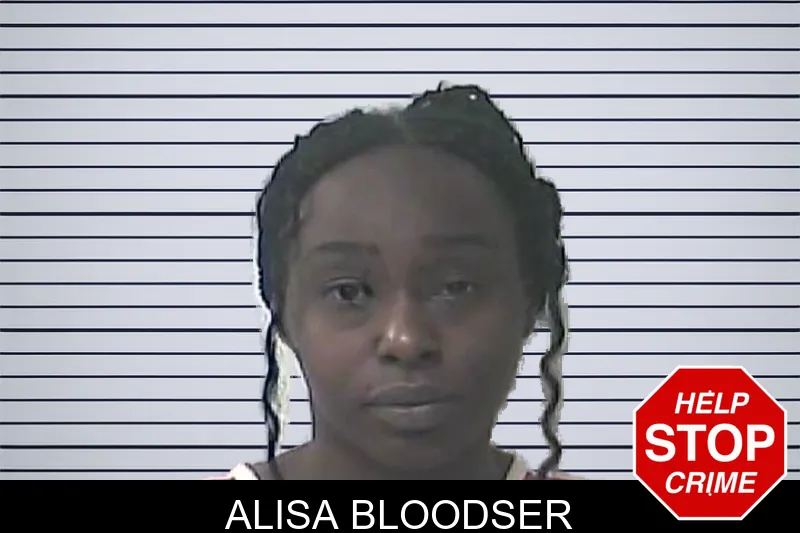 Alisa Bloodser mugshot