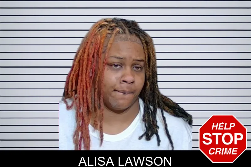 Alisa Lawson mugshot