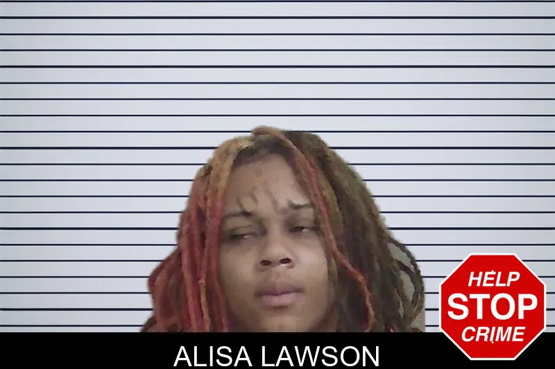 Alisa Lawson mugshot – Wayne County , Georgia Alisa Lawson mugshot