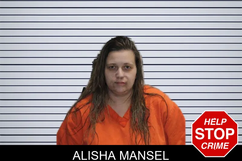 Alisha Mansel mugshot – Murray County , Georgia Alisha Mansel mugshot