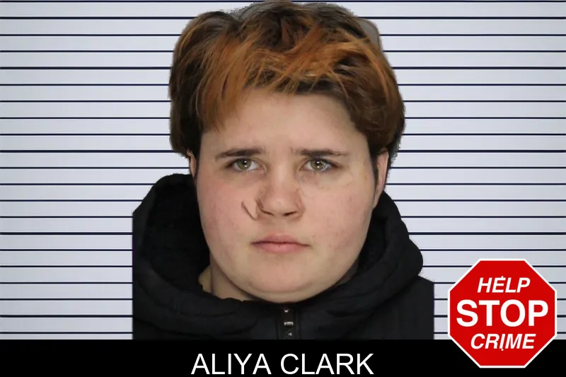 Aliya Clark mugshot