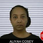 Aliyah Cosey mugshot – Liberty County , Georgia Aliyah Cosey mugshot