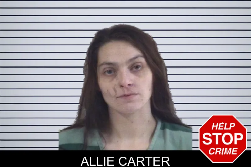 Allie Carter mugshot