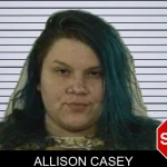 Allison Casey mugshot