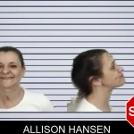 Allison Hansen mugshot