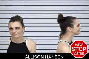 Allison Hansen mugshot