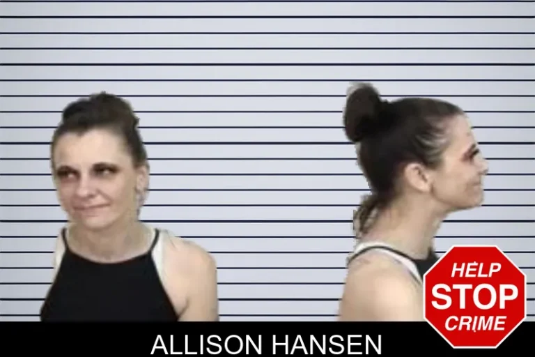 Allison Hansen mugshot – Camden County , Georgia Allison Hansen