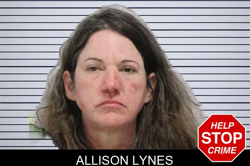 Allison Lynes mugshot