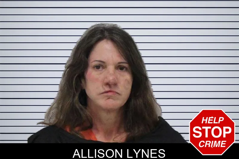 Allison Lynes mugshot