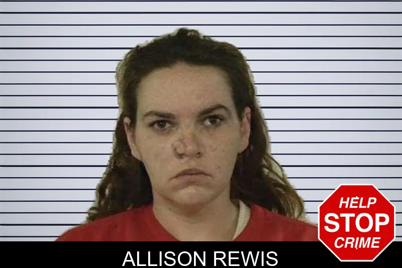 Allison Rewis mugshot – Liberty County , Georgia Allison Rewis mugshot