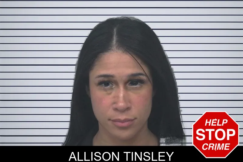 Allison Tinsley mugshot