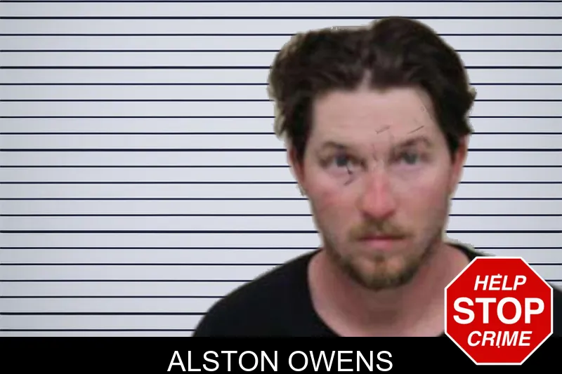 Alston Owens mugshot – Peach County , Georgia Alston Owens mugshot