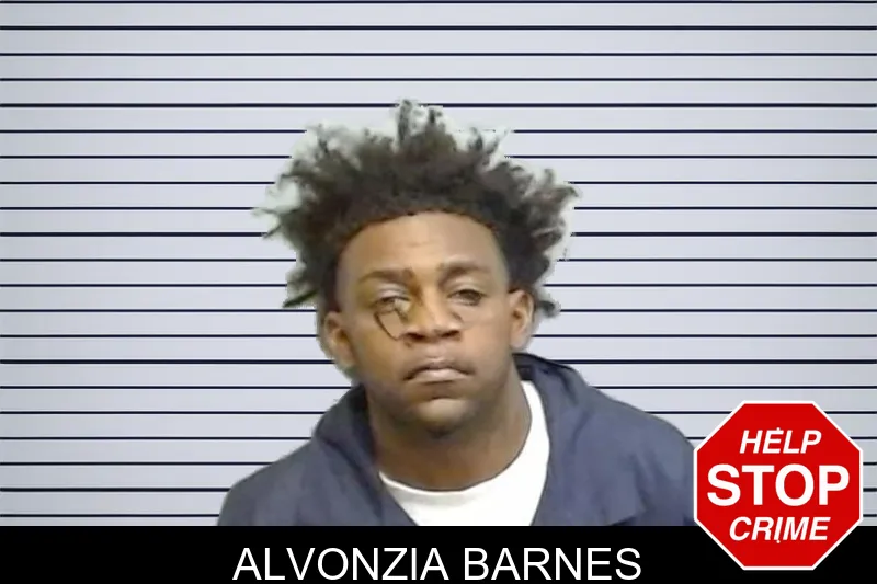 Alvonzia Barnes mugshot – Fulton County , Georgia Alvonzia Barnes mugshot