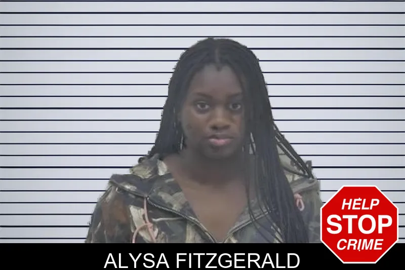 Alysa Fitzgerald mugshot – Coffee County , Georgia Alysa Fitzgerald mugshot