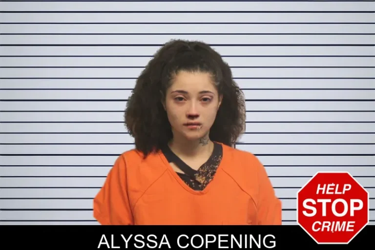 Alyssa Copening mugshot – Lumpkin County , Georgia Alyssa Copening