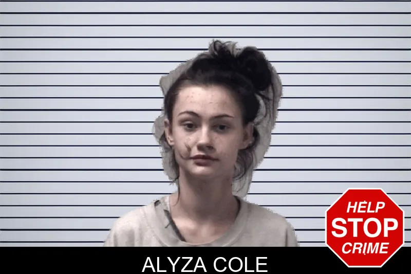 Alyza Cole mugshot – Coweta County , Georgia Alyza Cole mugshot