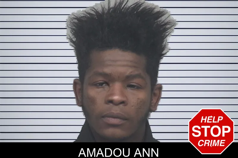 Amadou Ann mugshot – Gwinnett County , Georgia Amadou Ann mugshot