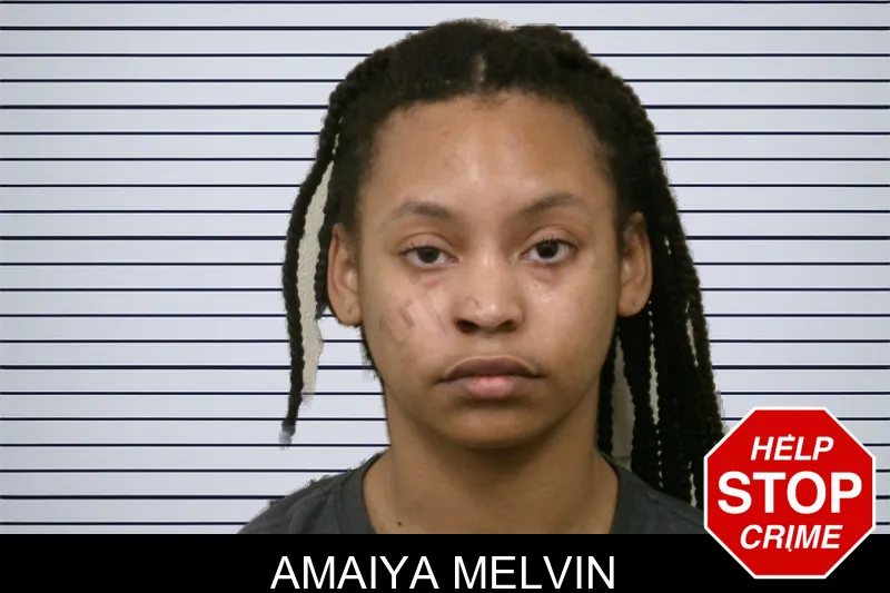 Amaiya Melvin mugshot – Bulloch County , Georgia Amaiya Melvin mugshot