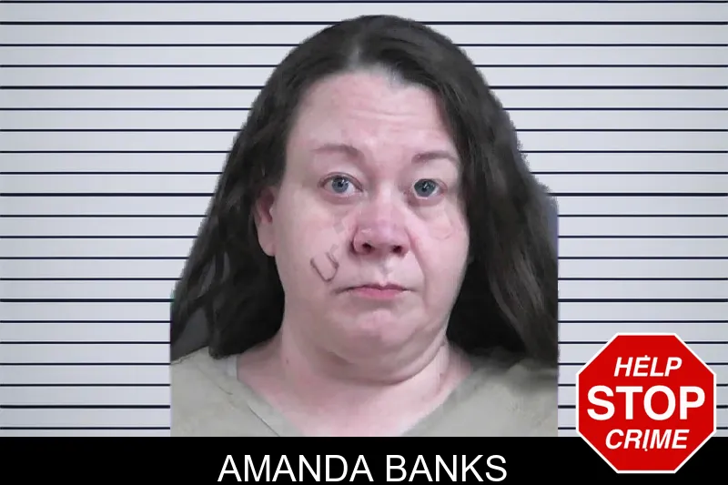 Amanda Banks mugshot – Gordon County , Georgia Amanda Banks mugshot