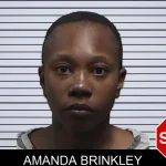 Amanda Brinkley mugshot