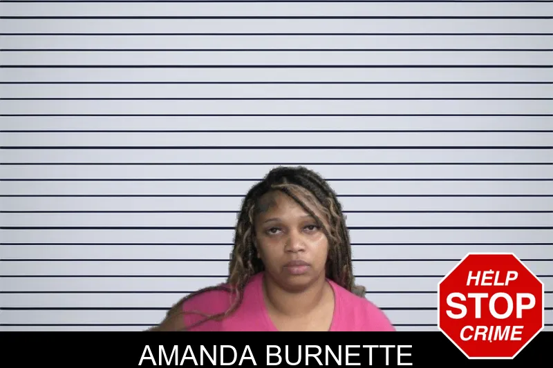 Amanda Burnette mugshot
