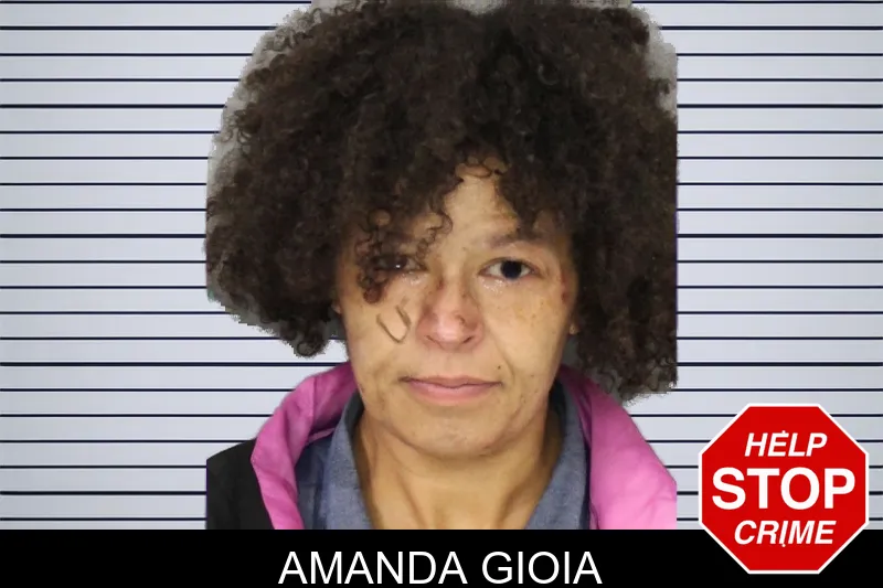 Amanda Gioia mugshot