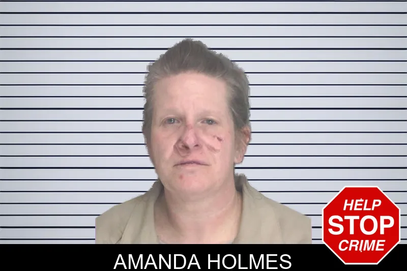 Amanda Holmes mugshot
