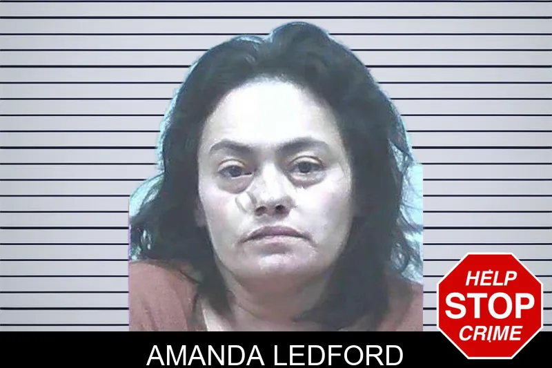 Amanda Ledford mugshot
