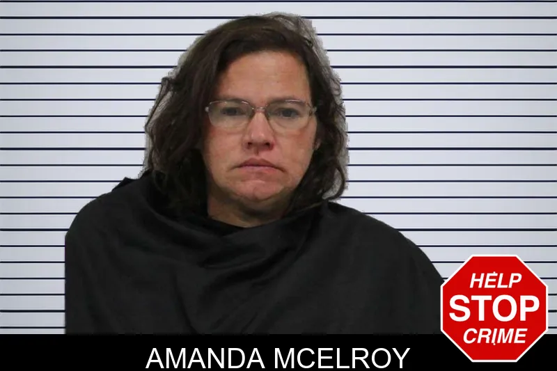 Amanda McElroy mugshot – Carroll County , Georgia Amanda McElroy mugshot