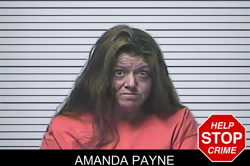 Amanda Payne mugshot