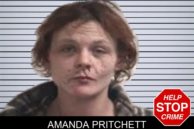 Amanda Pritchett mugshot