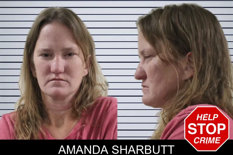 Amanda Sharbutt mugshot