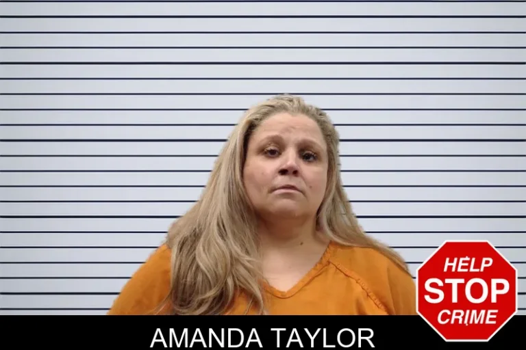 Amanda Taylor mugshot – Pickens County , Georgia Amanda Taylor