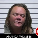Amanda Wiggins mugshot
