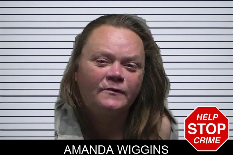 Amanda Wiggins mugshot