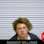 Amanda Williams mugshot