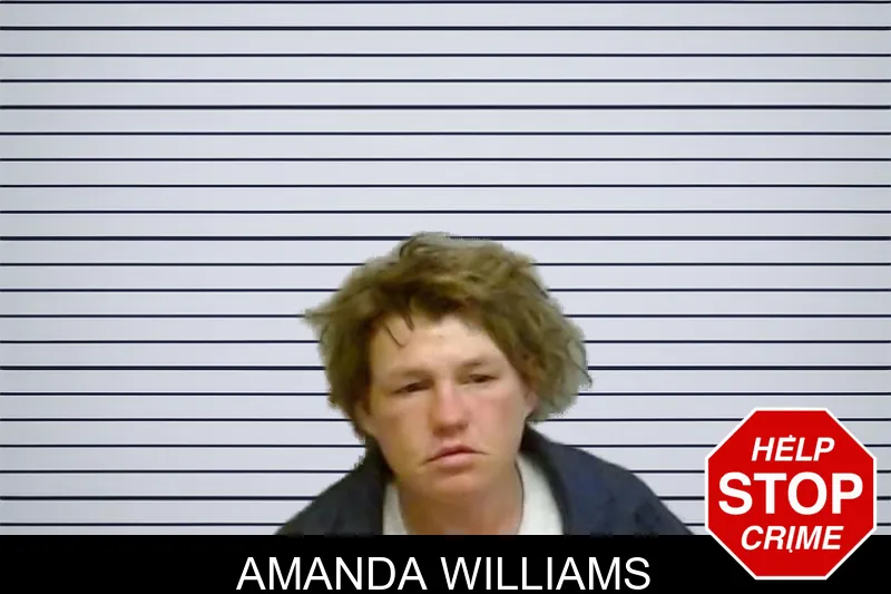 Amanda Williams mugshot