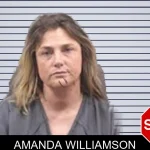 Amanda Williamson mugshot