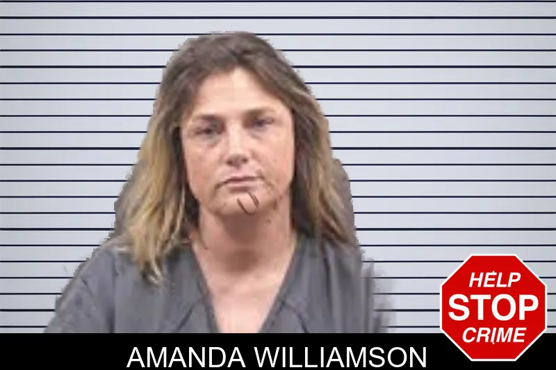 Amanda Williamson mugshot
