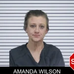 Amanda Wilson mugshot
