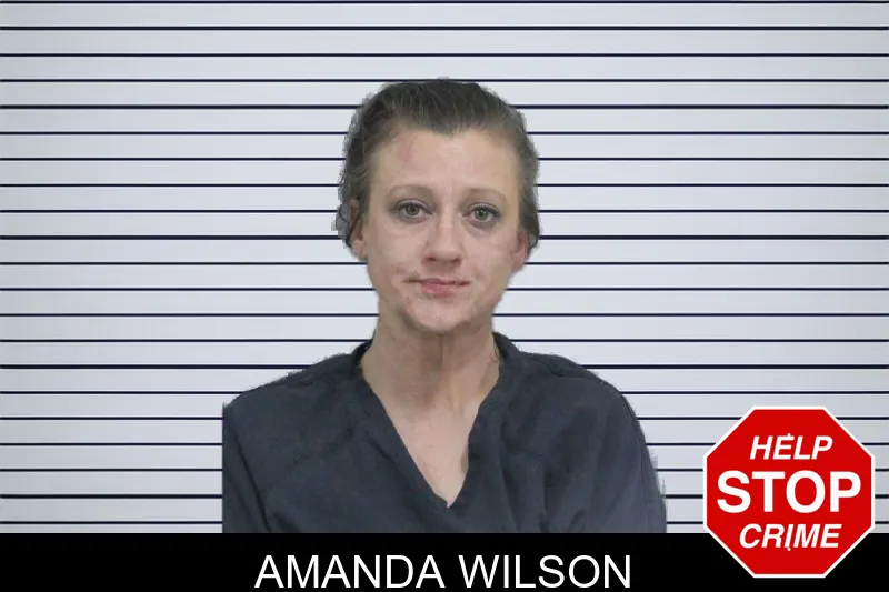 Amanda Wilson mugshot